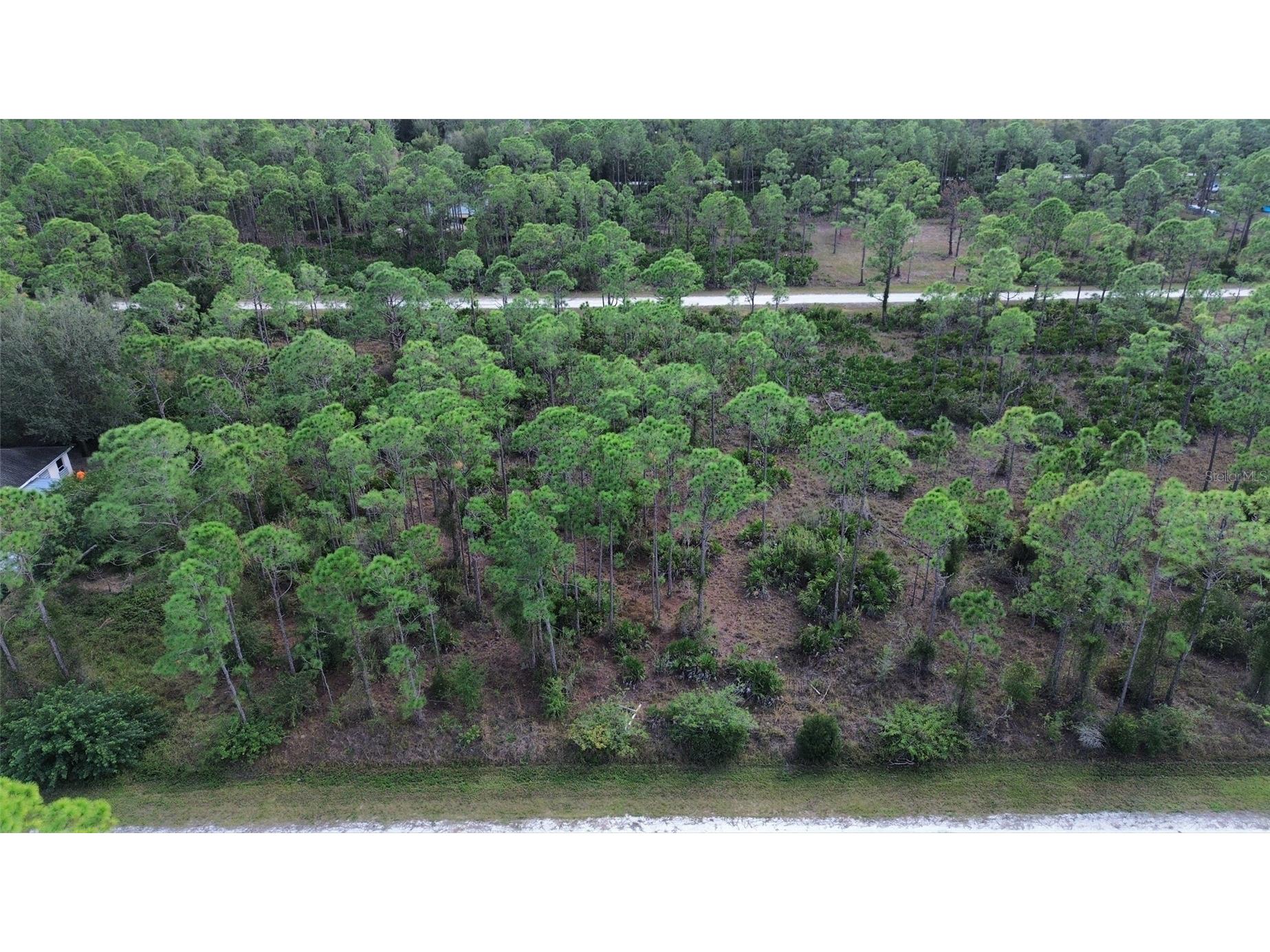 28059 Crestwood Drive Punta Gorda FL 33955 O6383044 image2