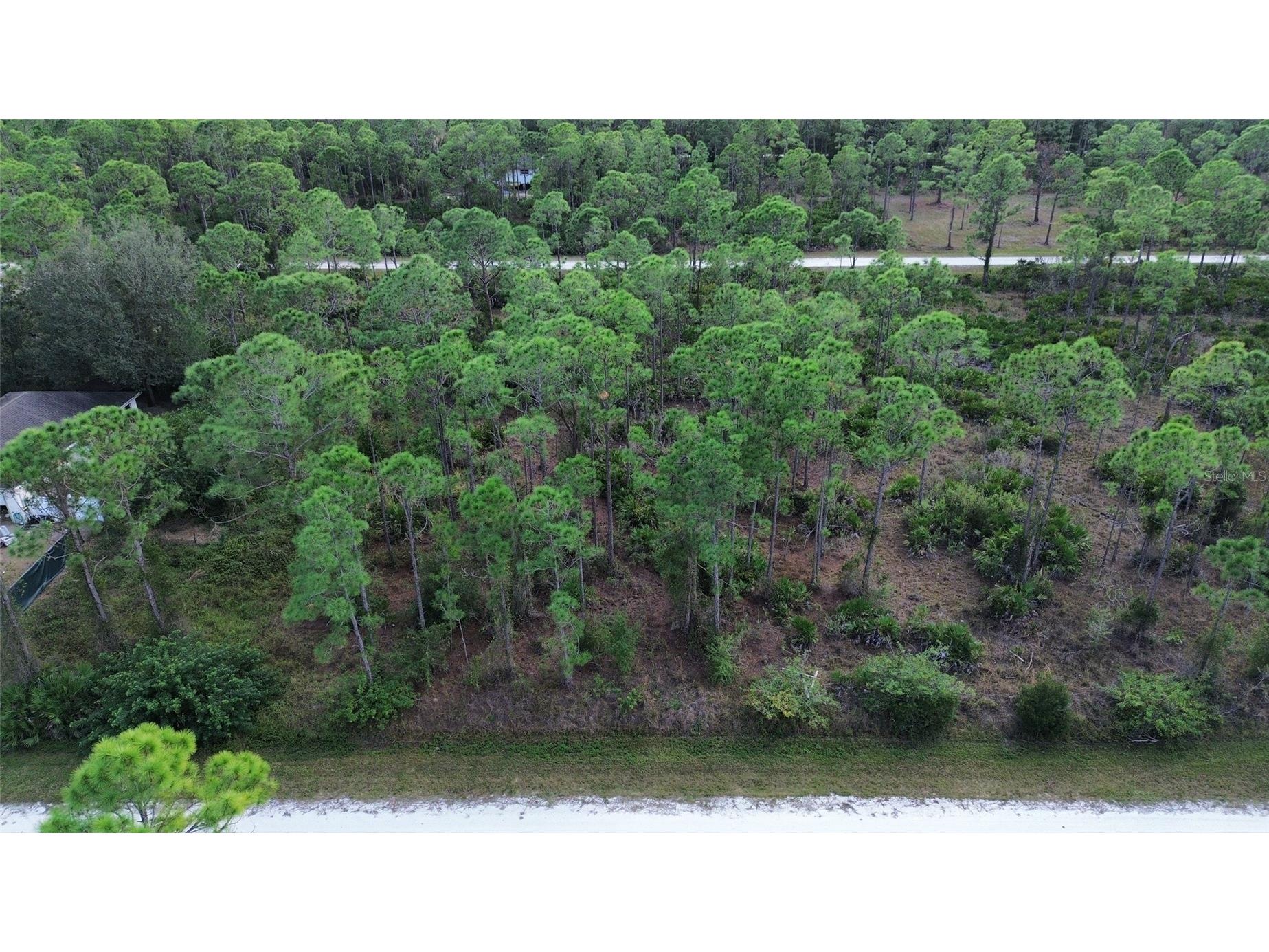 28059 Crestwood Drive Punta Gorda FL 33955 O6383044 image3