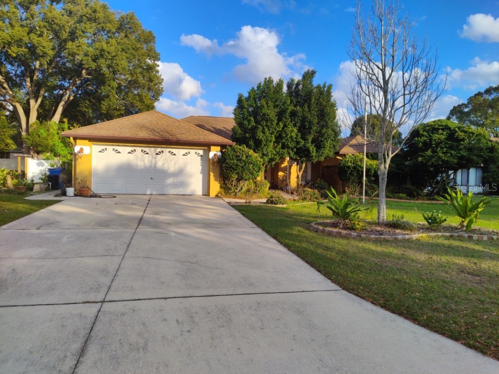 2806 Cason Court Seffner FL 33584 A4596195 image1