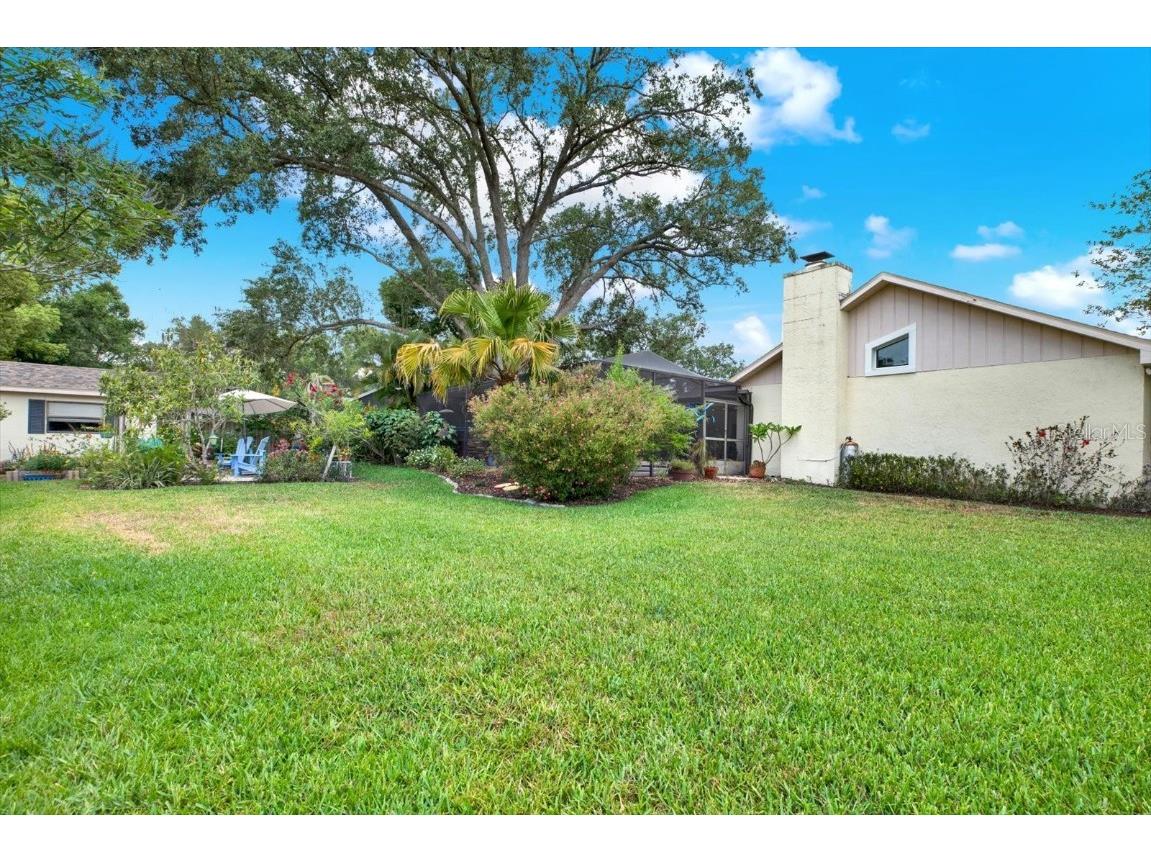 2806 Fairway View Drive Valrico FL 33596 TB8394982 image43