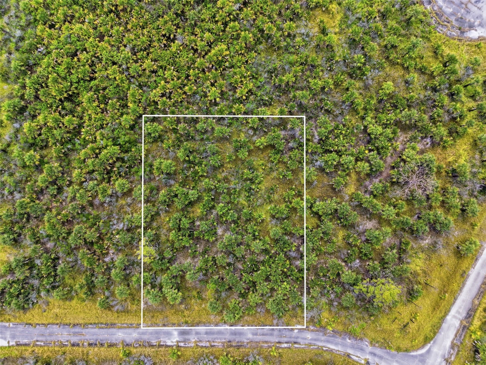 2806 Flameflower Terrace SW Palm Bay FL 32908 O6404246 image1