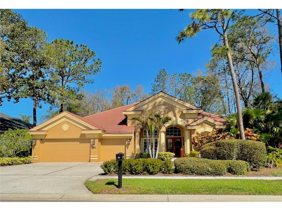 2806 Grey Oaks Boulevard Tarpon Springs FL 34688 W7872920 image1