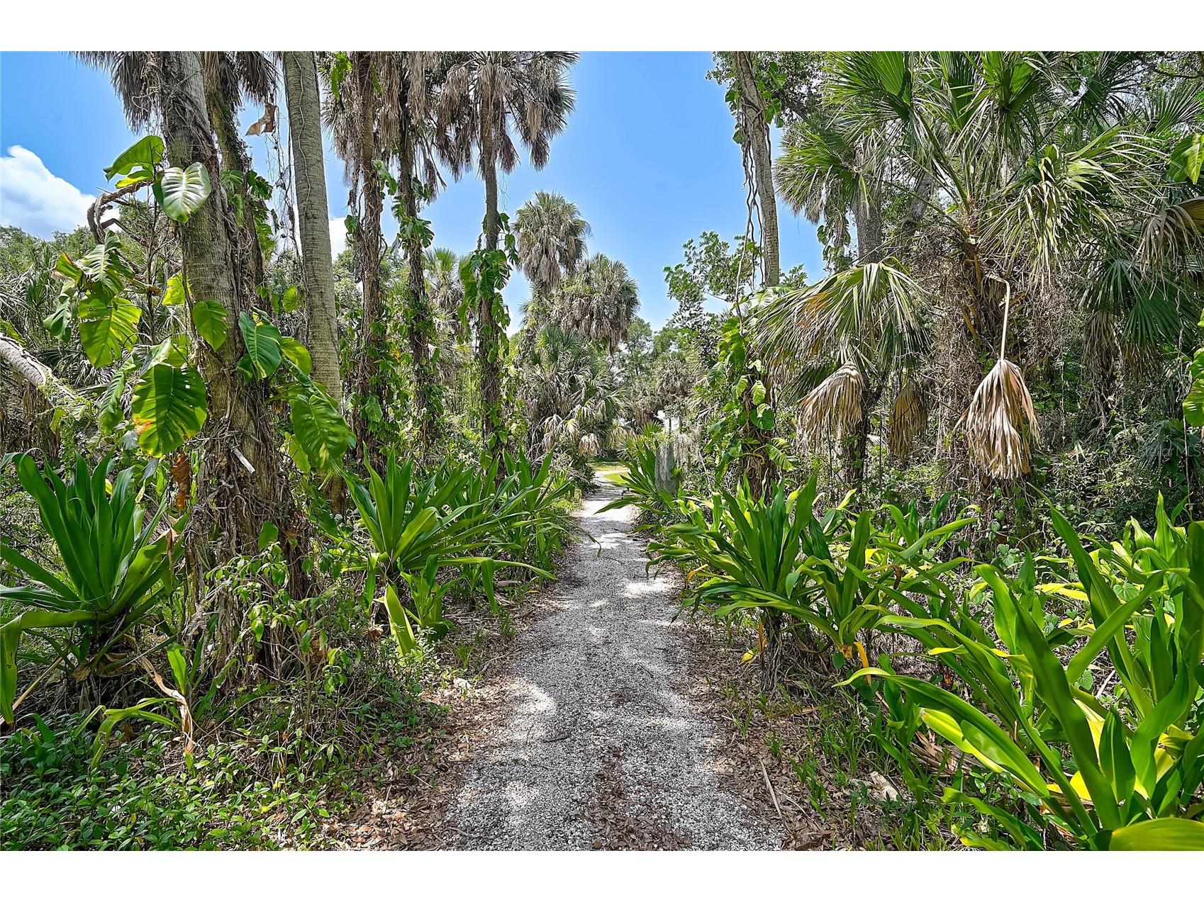 2806 Norwood Lane Venice FL 34292 - BLACKBURN CANAL A4693554 image69