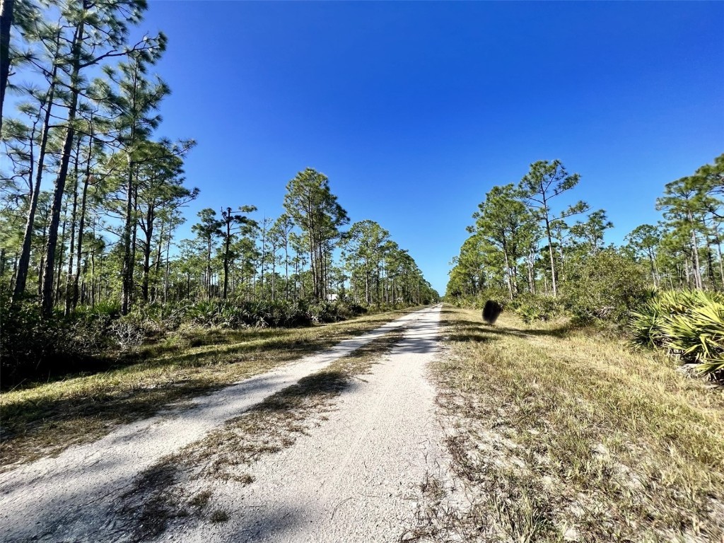 28060 Argyle Drive Punta Gorda FL 33955 C7496909 image3