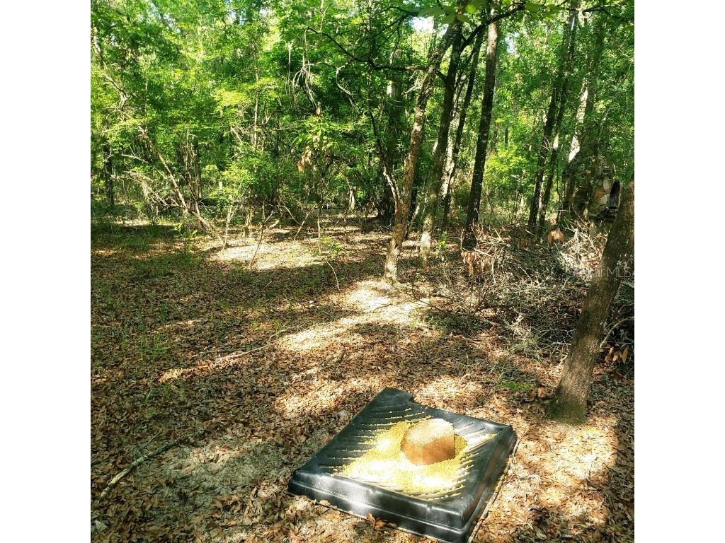 28063 31st Road Branford FL 32008 A4657407 image21