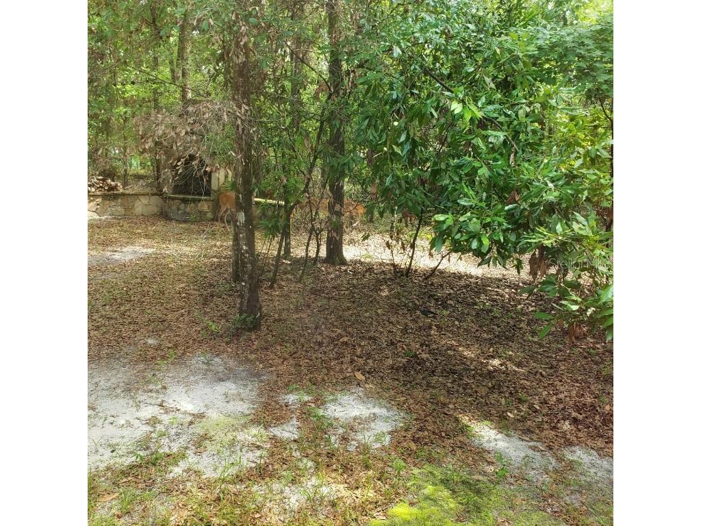 28063 31st Road Branford FL 32008 A4657407 image22