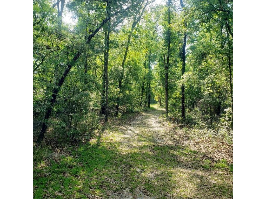 28063 31st Road Branford FL 32008 A4657407 image24