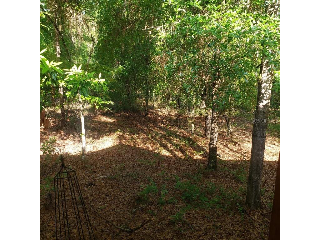 28063 31st Road Branford FL 32008 A4657407 image25