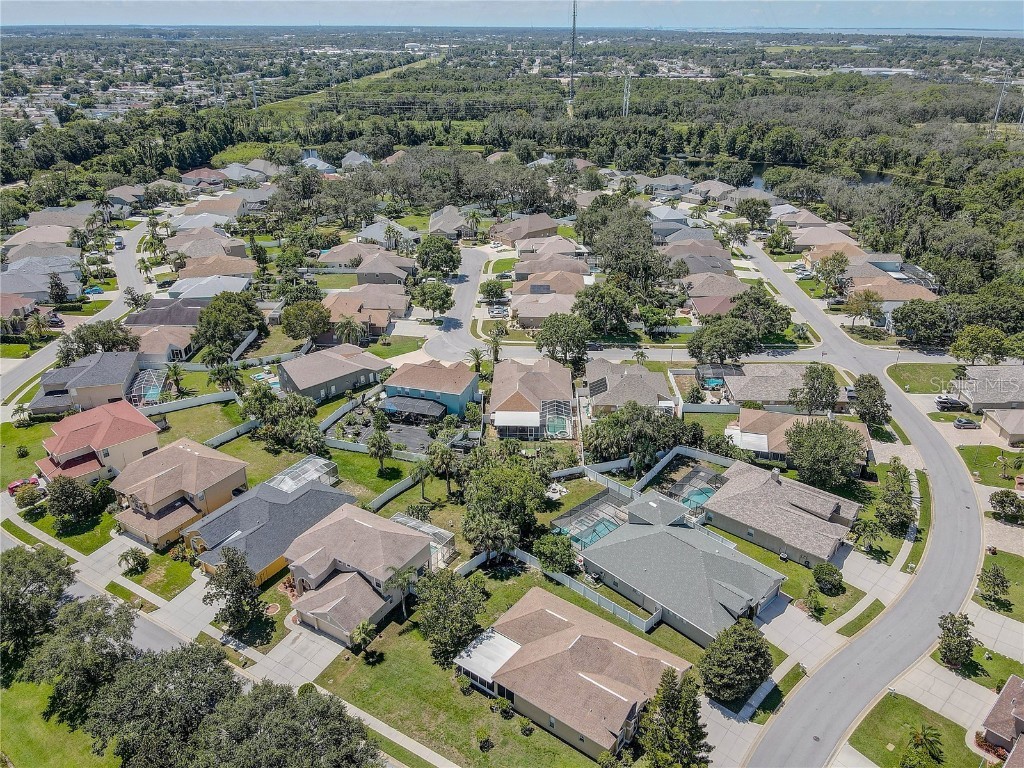 2807 Banner Stone Court Holiday FL 34691 TB8417334 image53