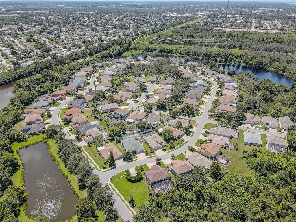 2807 Banner Stone Court Holiday FL 34691 TB8417334 image54