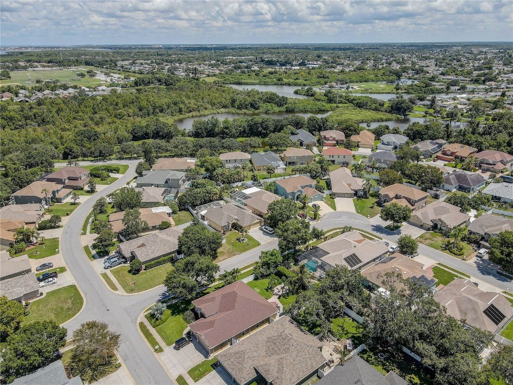 2807 Banner Stone Court Holiday FL 34691 TB8417334 image55