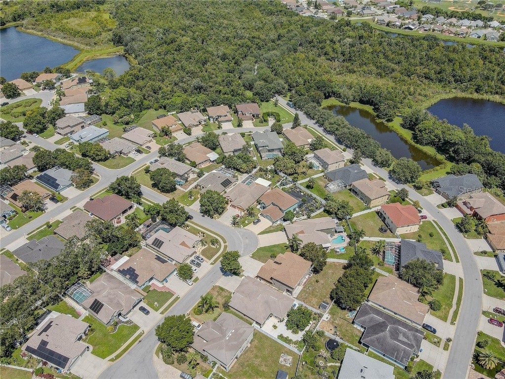 2807 Banner Stone Court Holiday FL 34691 TB8417334 image56