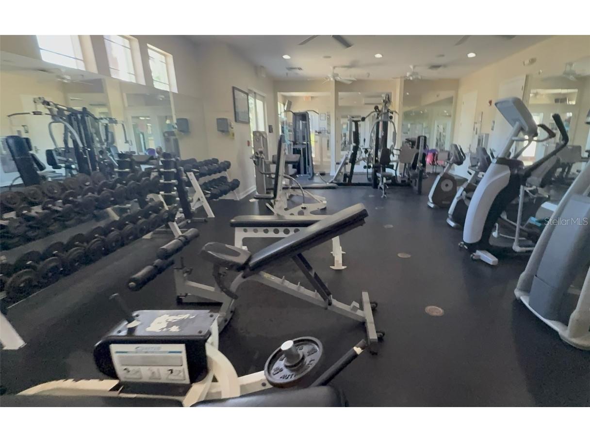 2807 Banner Stone Court Holiday FL 34691 TB8417334 image60