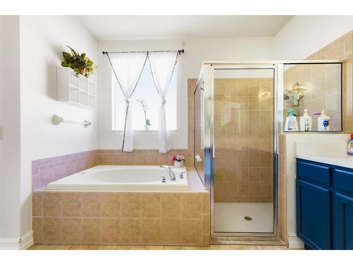 2807 Manning Drive Trinity FL 34655 TB8451221 image20