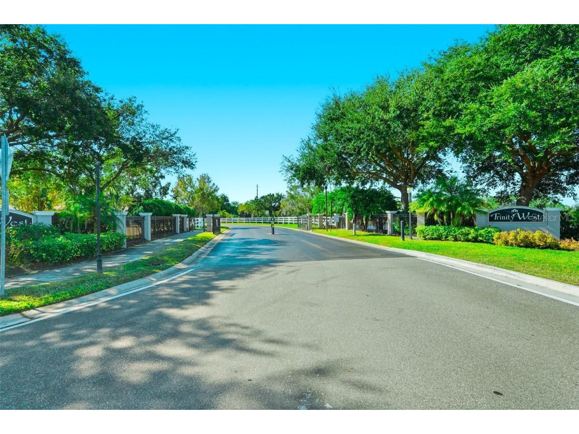 2807 Manning Drive Trinity FL 34655 TB8451221 image39