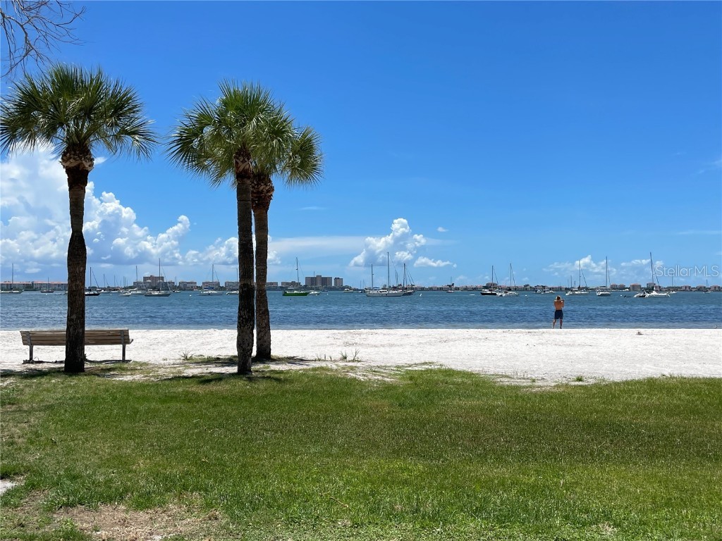 2807 Miriam Street S Gulfport FL 33711 TB8397558 image38