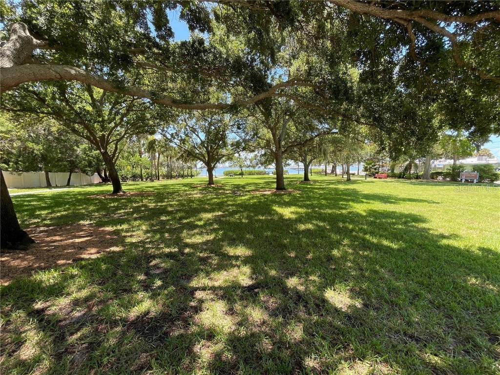 2807 Miriam Street S Gulfport FL 33711 TB8397558 image44
