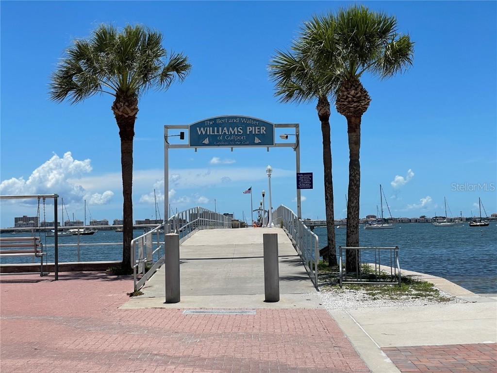 2807 Miriam Street S Gulfport FL 33711 TB8397558 image46
