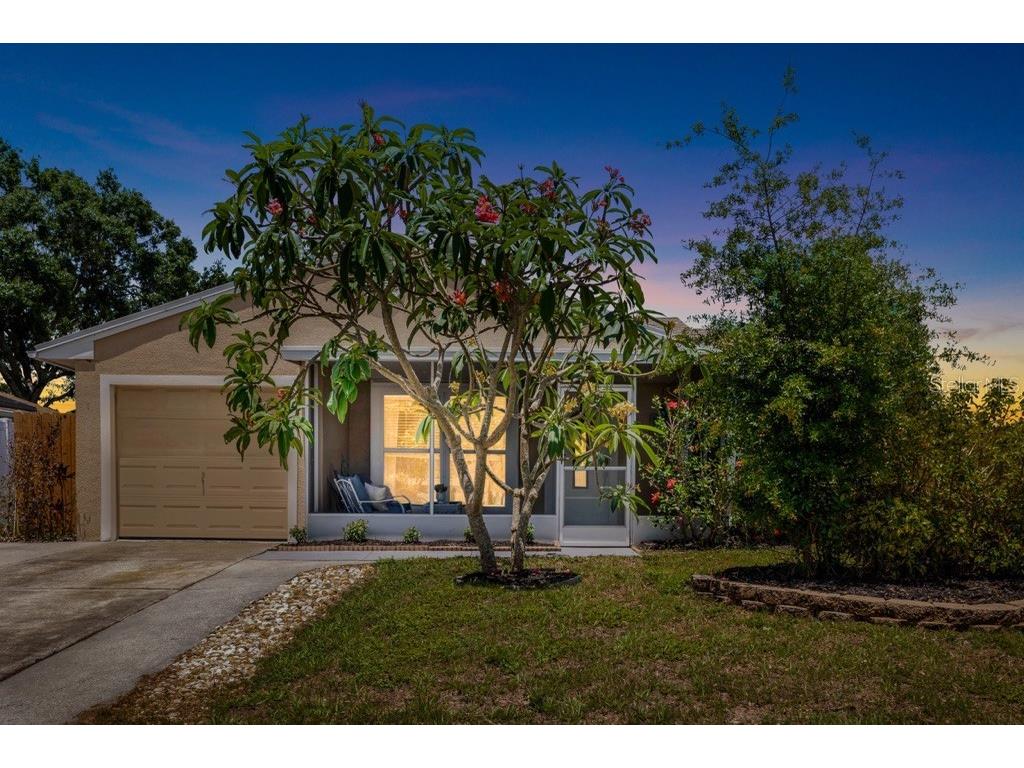 2807 Northcote Drive Palm Harbor FL 34684 - LAKE ST GEORGE TB8386351 image1