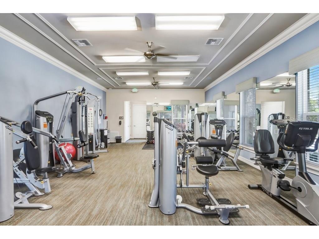 2807 Oriole Drive Sarasota FL 34243 TB8498443 image53
