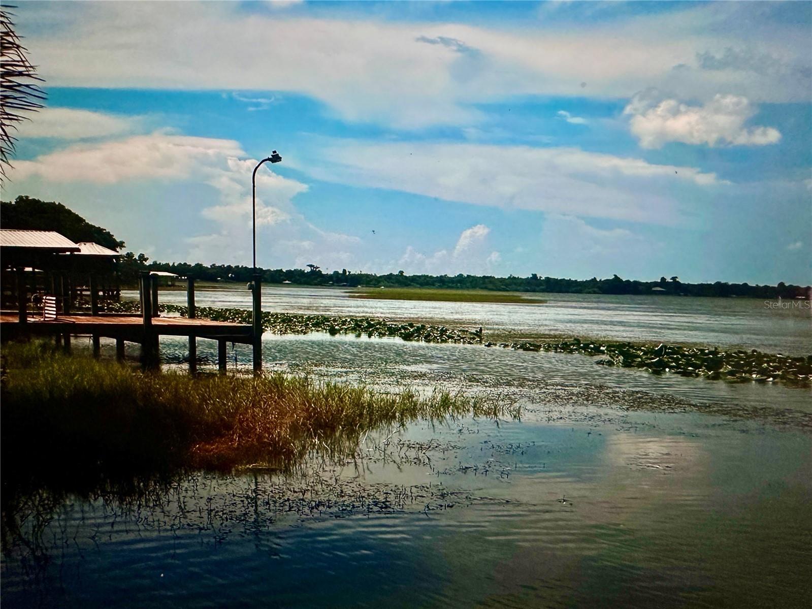 2807 Tindel Camp Road Lake Wales FL 33898 O6383269 image33