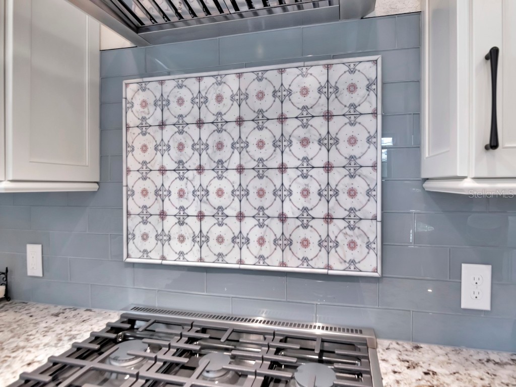 2807 W Sitios Street Tampa FL 33629 TB8423988 image11