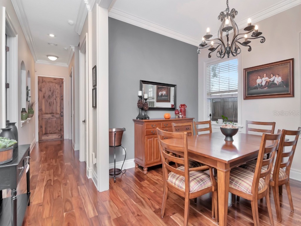 2807 W Sitios Street Tampa FL 33629 TB8423988 image24