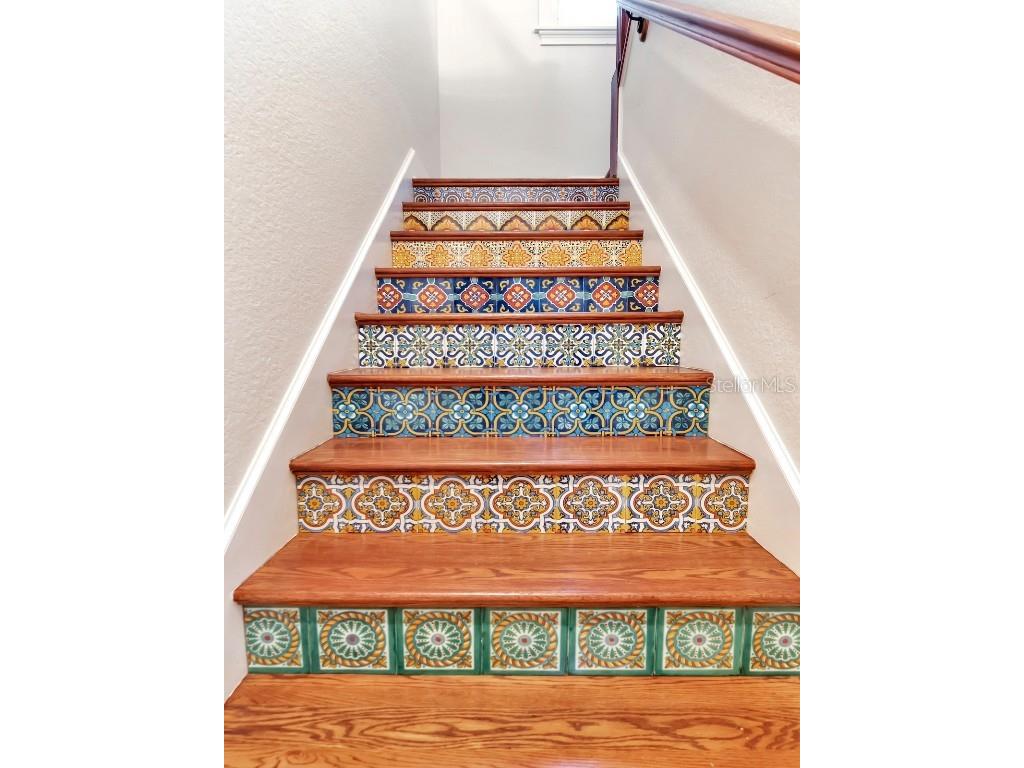 2807 W Sitios Street Tampa FL 33629 TB8423988 image27