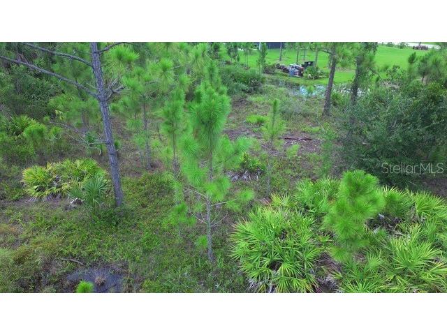 28072 Crestwood Drive Punta Gorda FL 33955 C7513645 image5