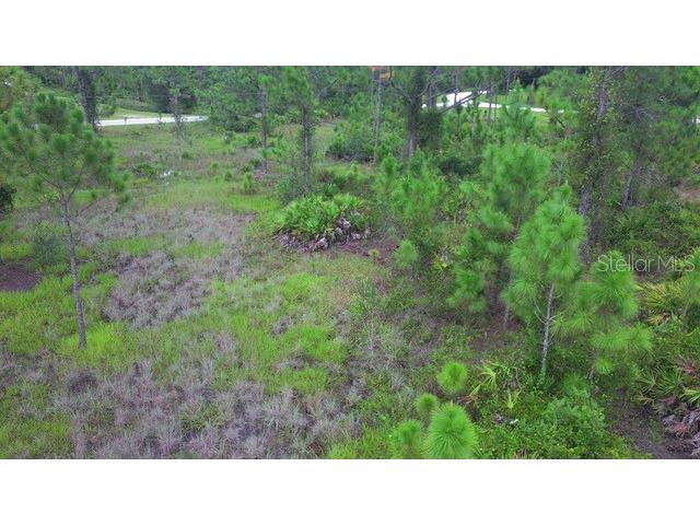 28072 Crestwood Drive Punta Gorda FL 33955 C7513645 image6