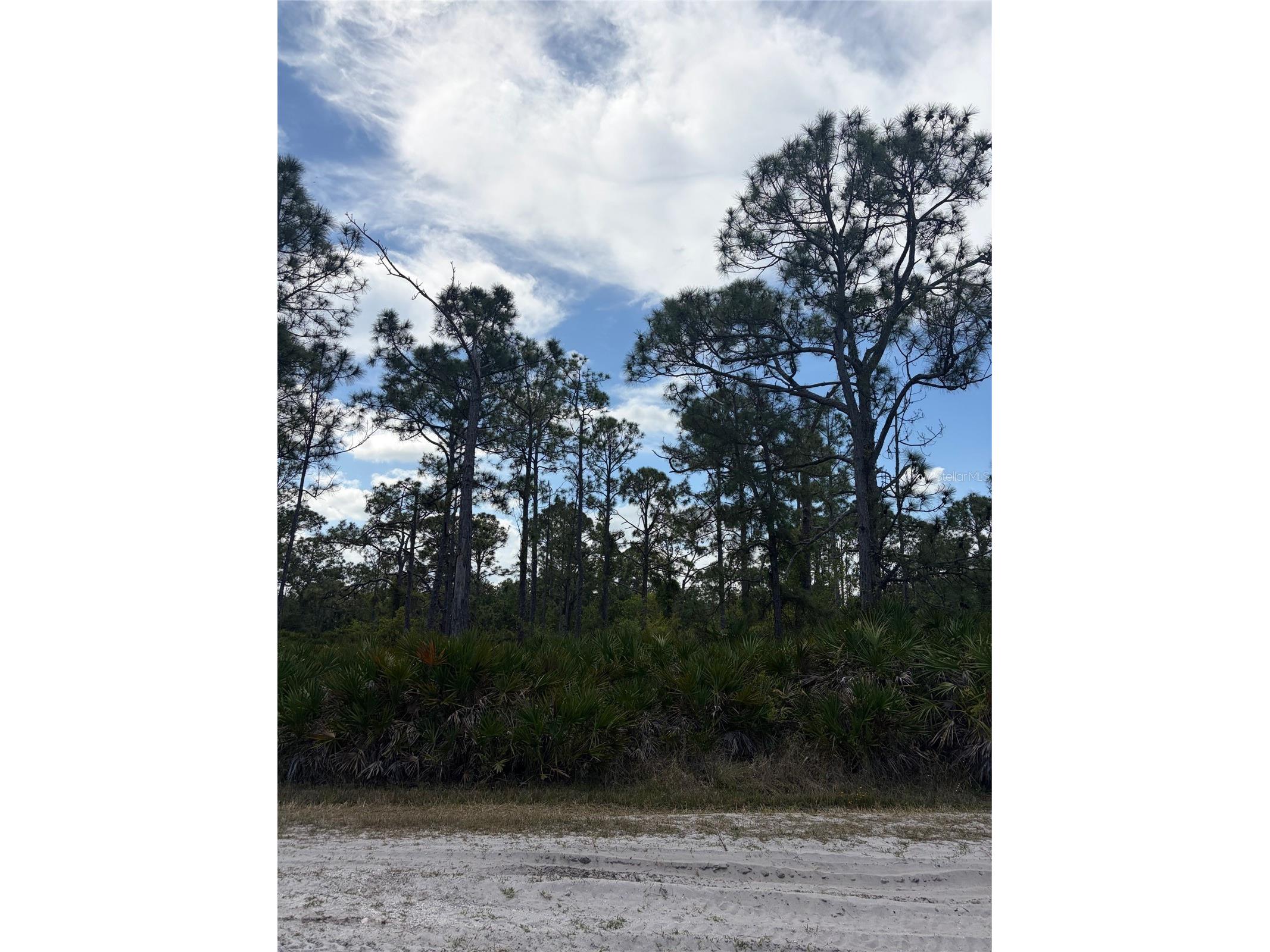 28078 Ramiro Drive Punta Gorda FL 33955 C7524874 image1