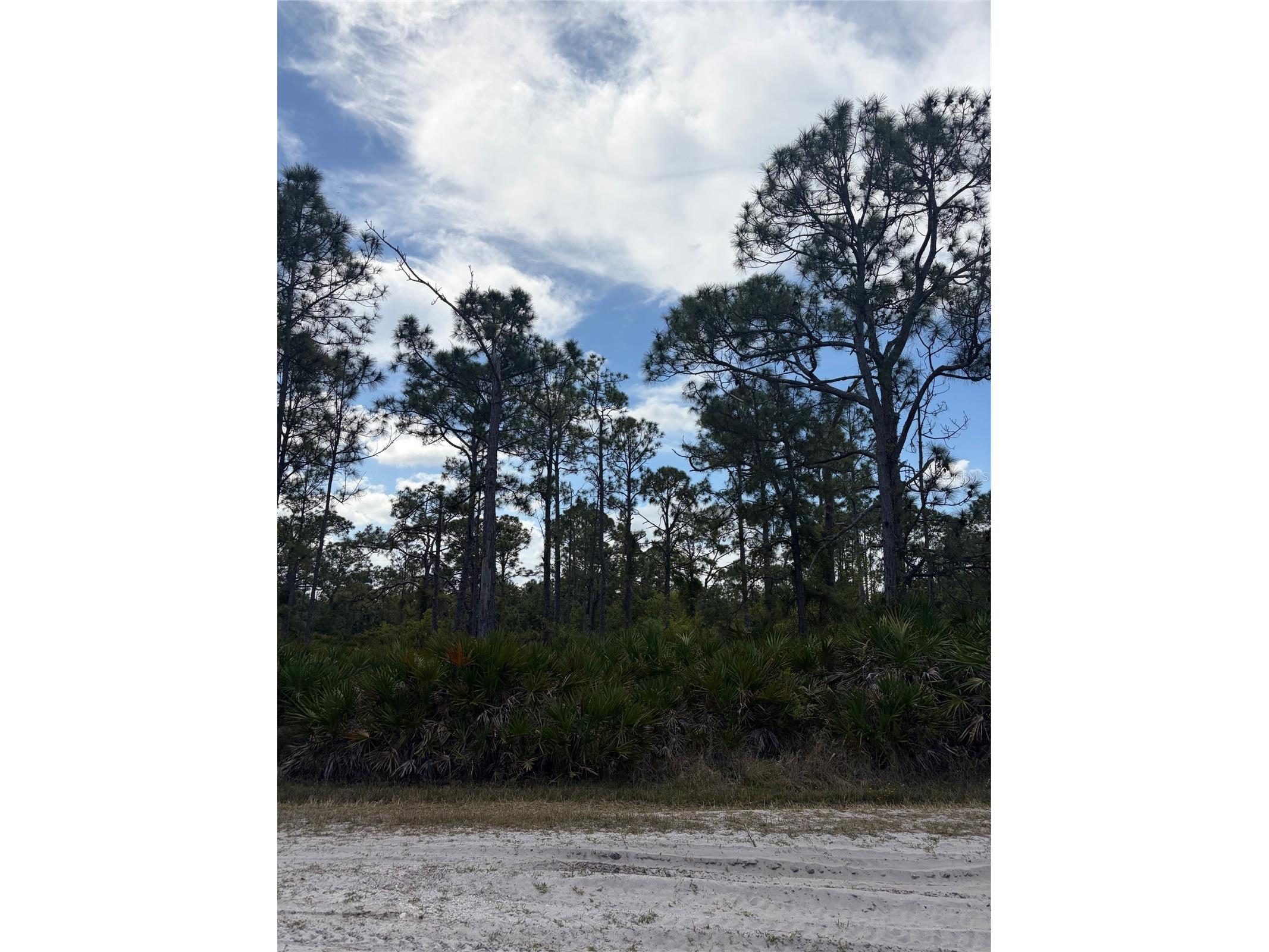 28078 Ramiro Drive Punta Gorda FL 33955 C7524874 image2