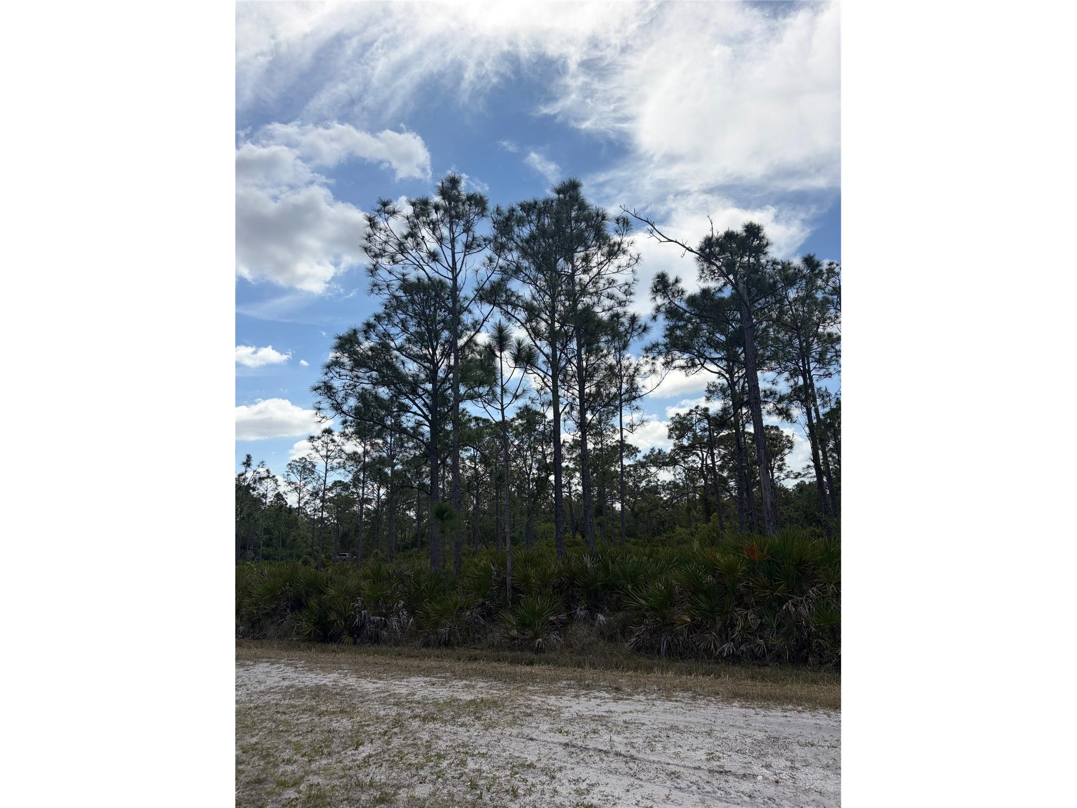 28078 Ramiro Drive Punta Gorda FL 33955 C7524874 image3