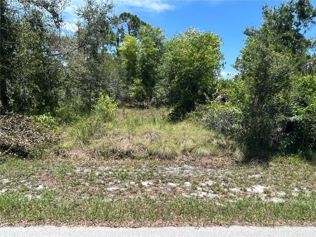 28078 Sunset Drive Punta Gorda FL 33955 U8206284 image1