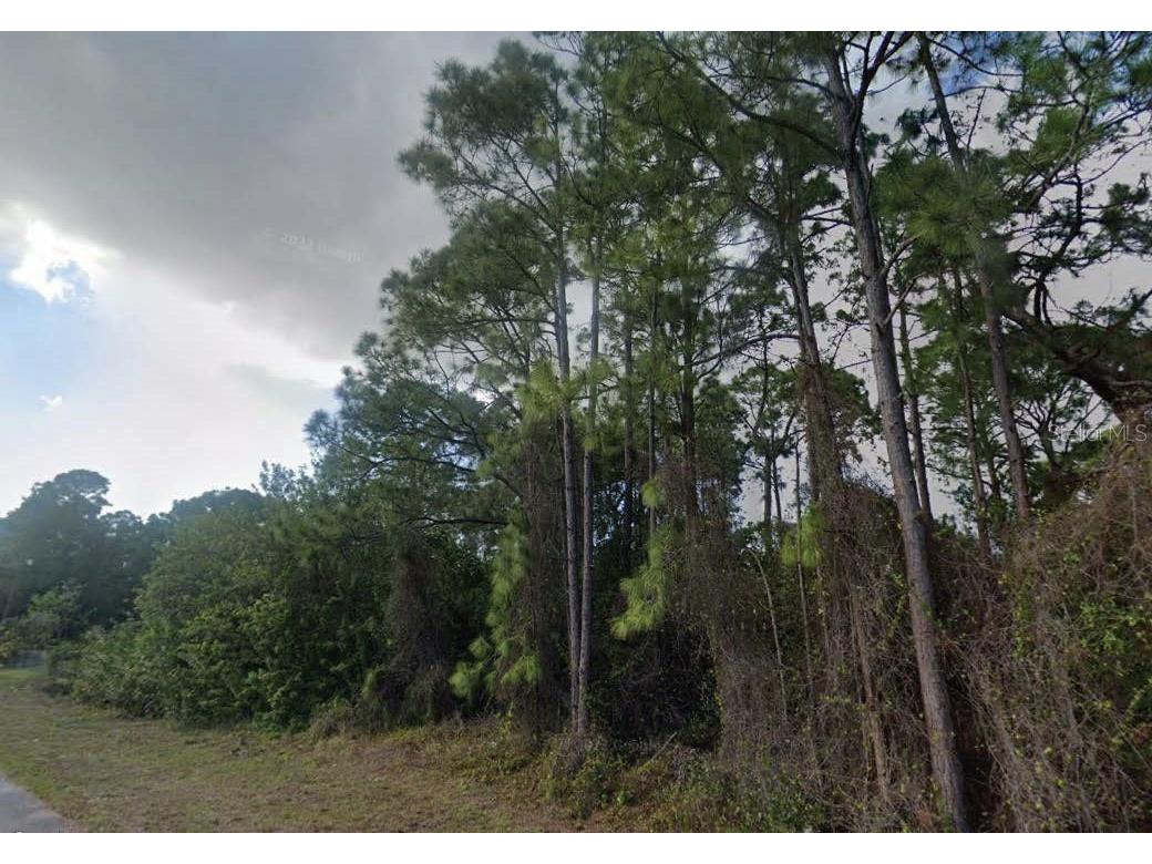 2808 2nd Street SW Lehigh Acres FL 33976 O6329725 image1