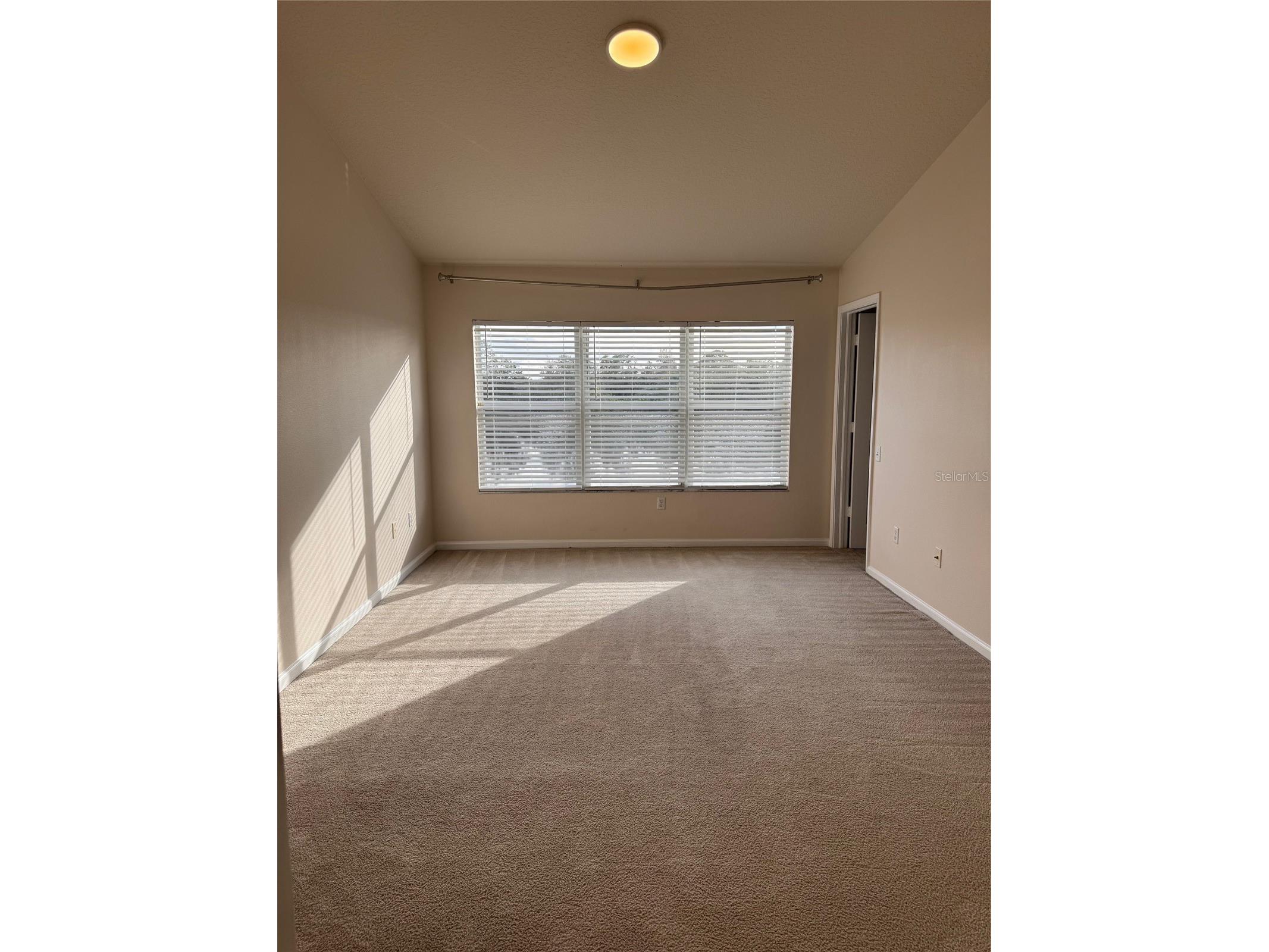 2808 Conch Hollow Drive Brandon FL 33511 TB8465272 image15