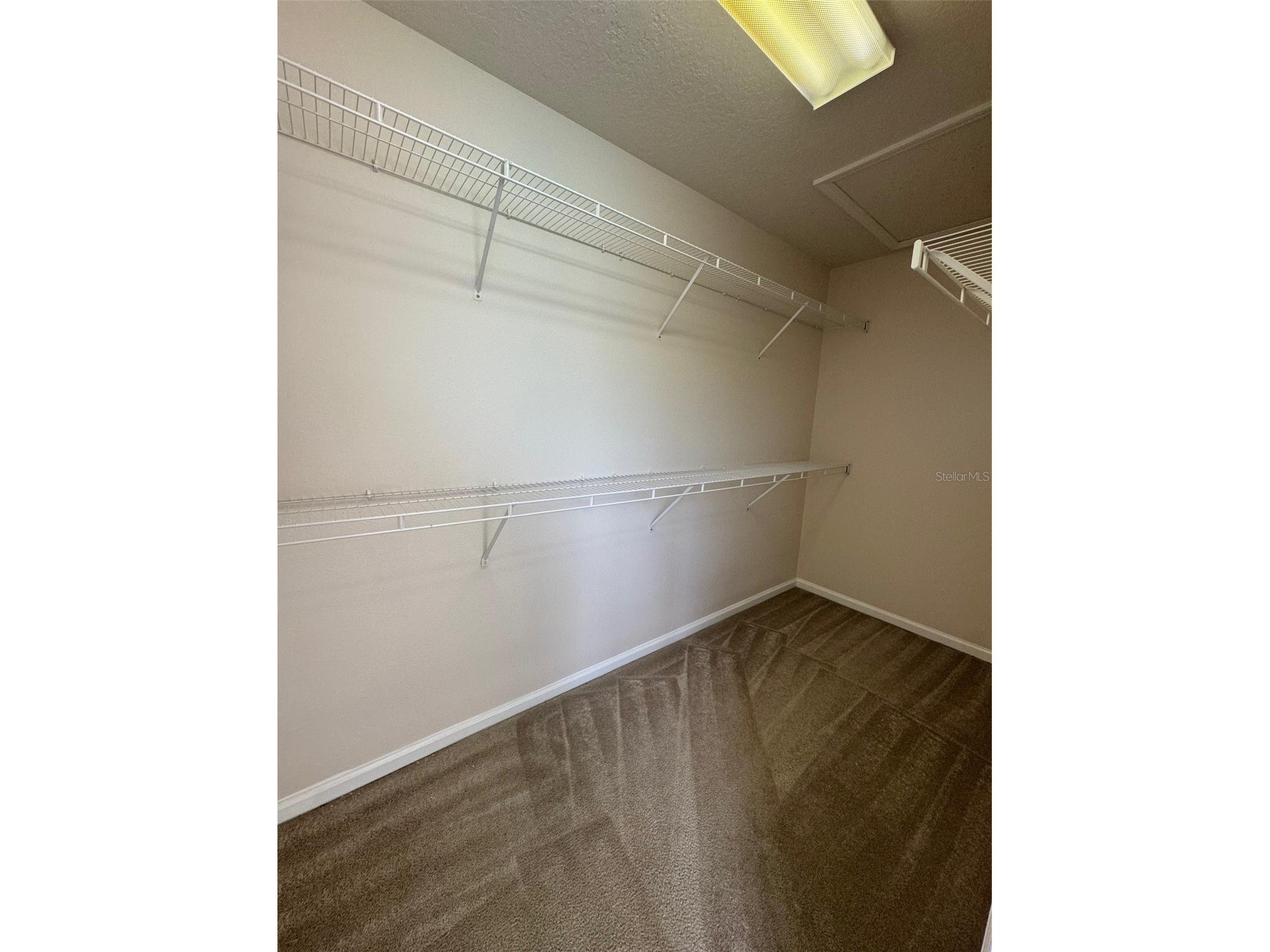 2808 Conch Hollow Drive Brandon FL 33511 TB8465272 image19