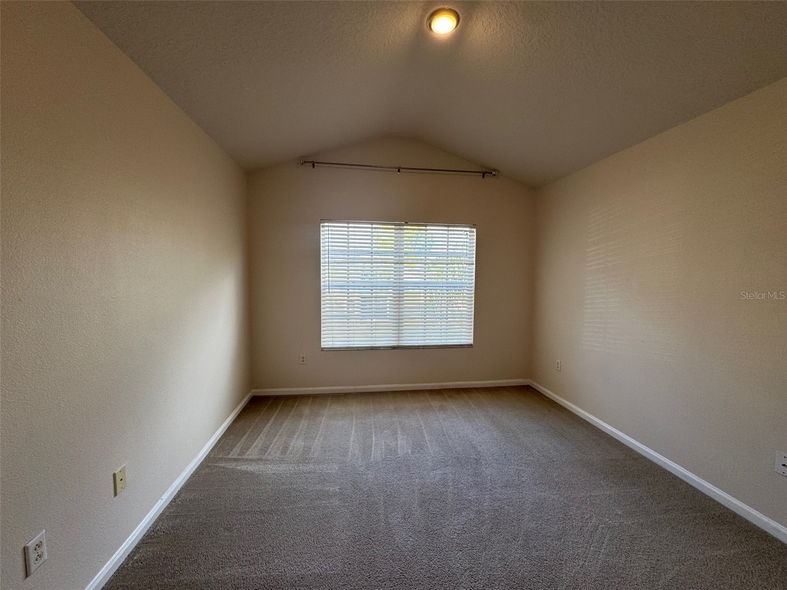 2808 Conch Hollow Drive Brandon FL 33511 TB8465272 image20