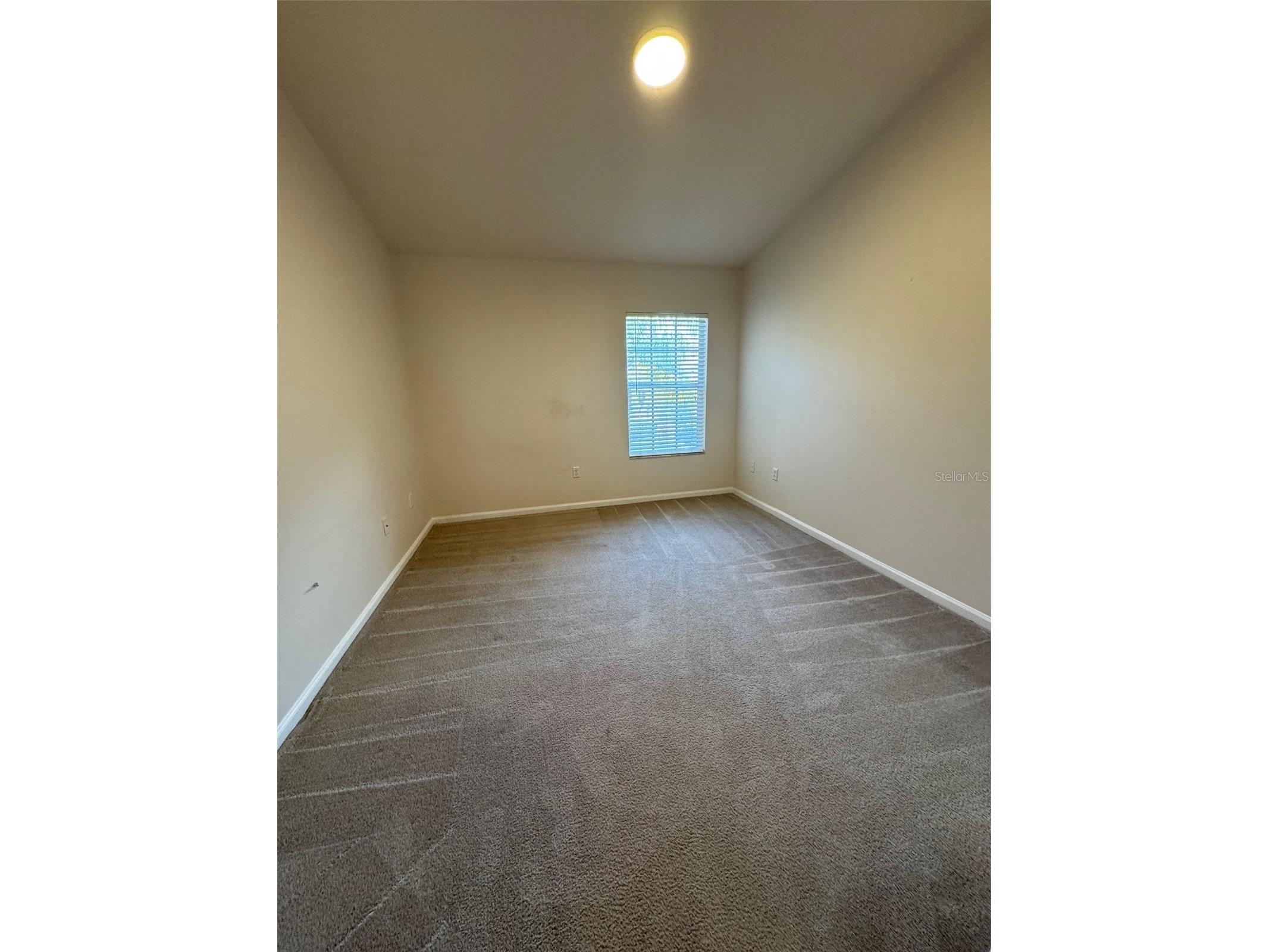 2808 Conch Hollow Drive Brandon FL 33511 TB8465272 image21