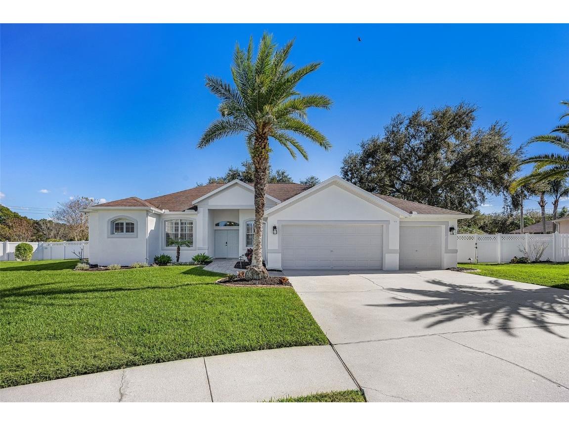 2808 Duncan Tree Circle Valrico FL 33594 A4676178 image1