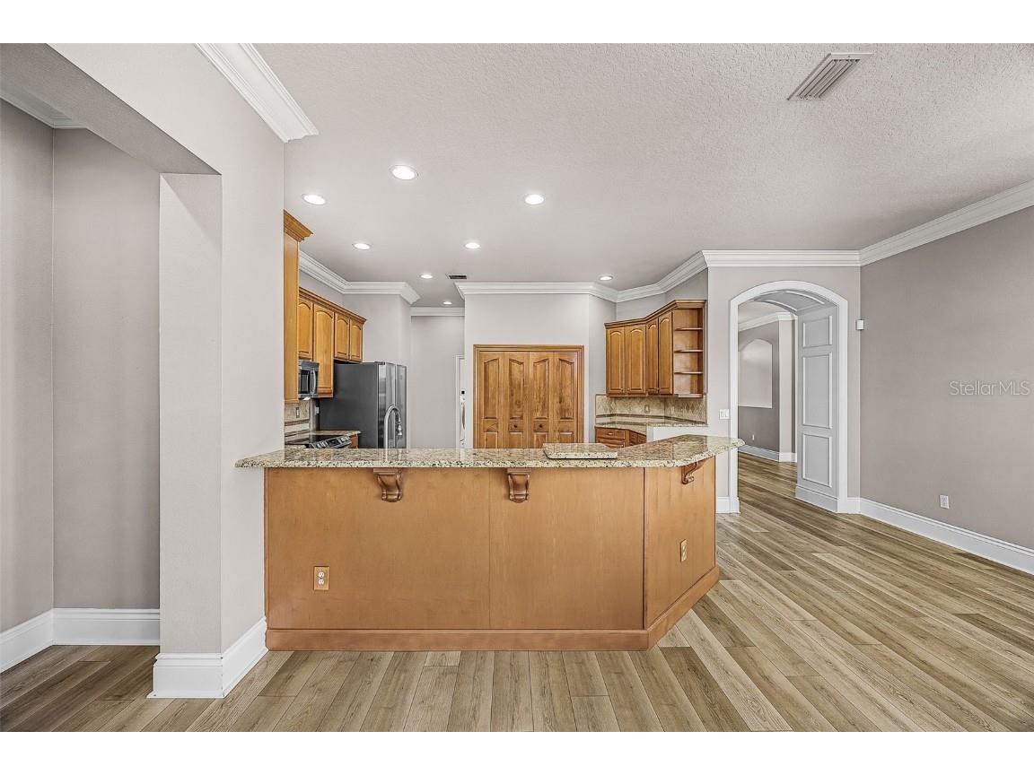 2808 Duncan Tree Circle Valrico FL 33594 A4676178 image12