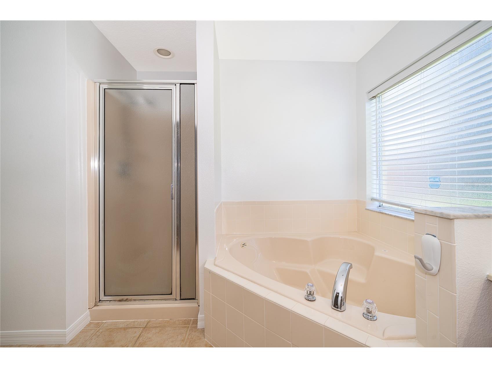 2808 Lido Key Court Kissimmee FL 34747 O6406836 image18