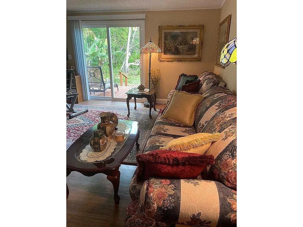 2808 Manatee Road Tavares FL 32778 O6312497 image10