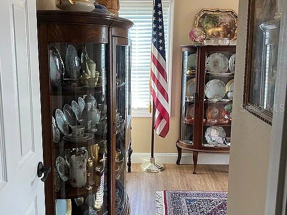 2808 Manatee Road Tavares FL 32778 O6312497 image11