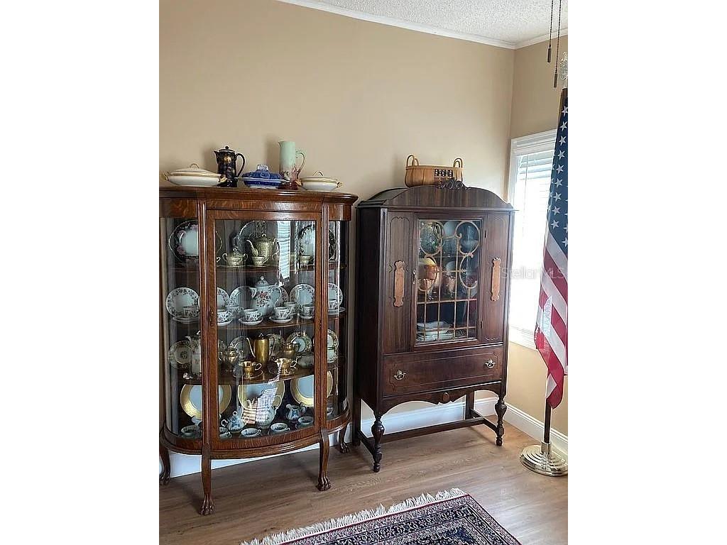 2808 Manatee Road Tavares FL 32778 O6312497 image13