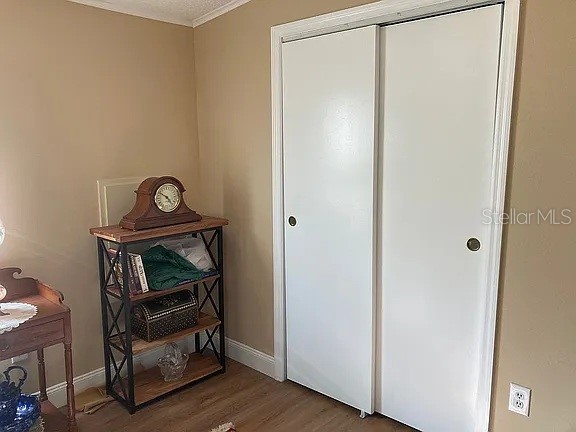 2808 Manatee Road Tavares FL 32778 O6312497 image14