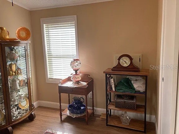 2808 Manatee Road Tavares FL 32778 O6312497 image15