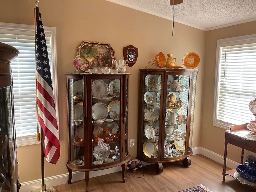 2808 Manatee Road Tavares FL 32778 O6312497 image16