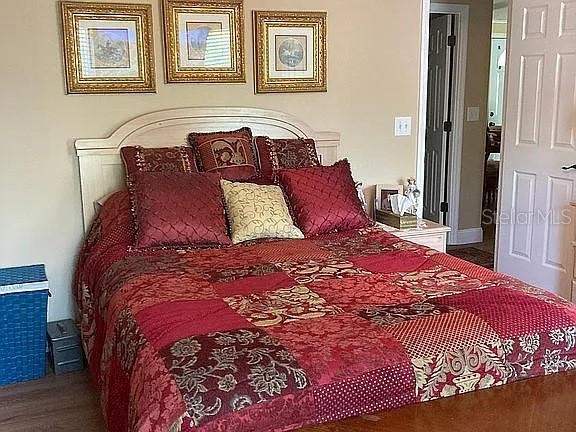 2808 Manatee Road Tavares FL 32778 O6312497 image17