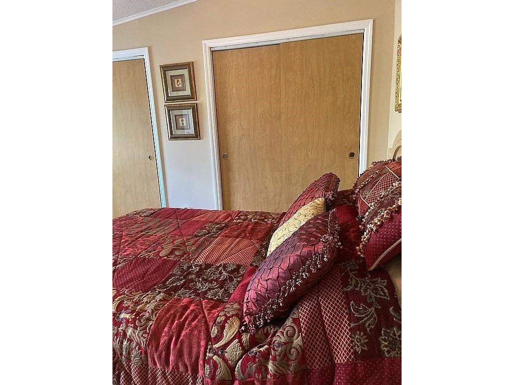 2808 Manatee Road Tavares FL 32778 O6312497 image19